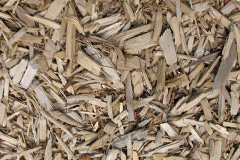 biomass boilers Whins Wood